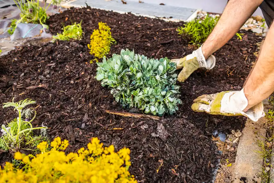 Excellent Mulching Acworth, GA Excellent Mulching Acworth, GA