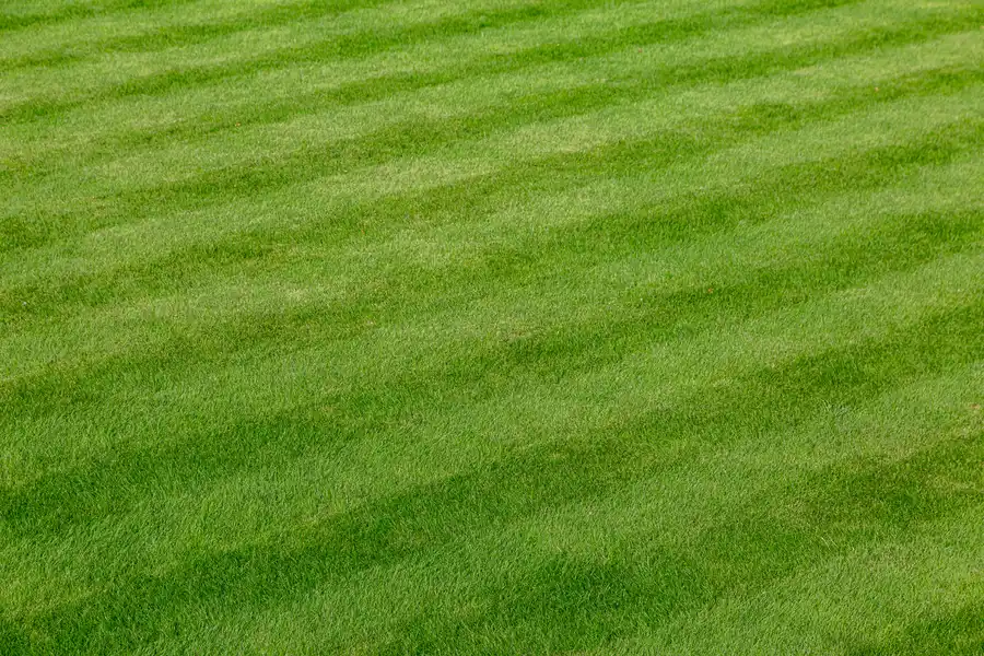 Experienced Lawn Care Acworth, GA Experienced Lawn Care Acworth, GA
