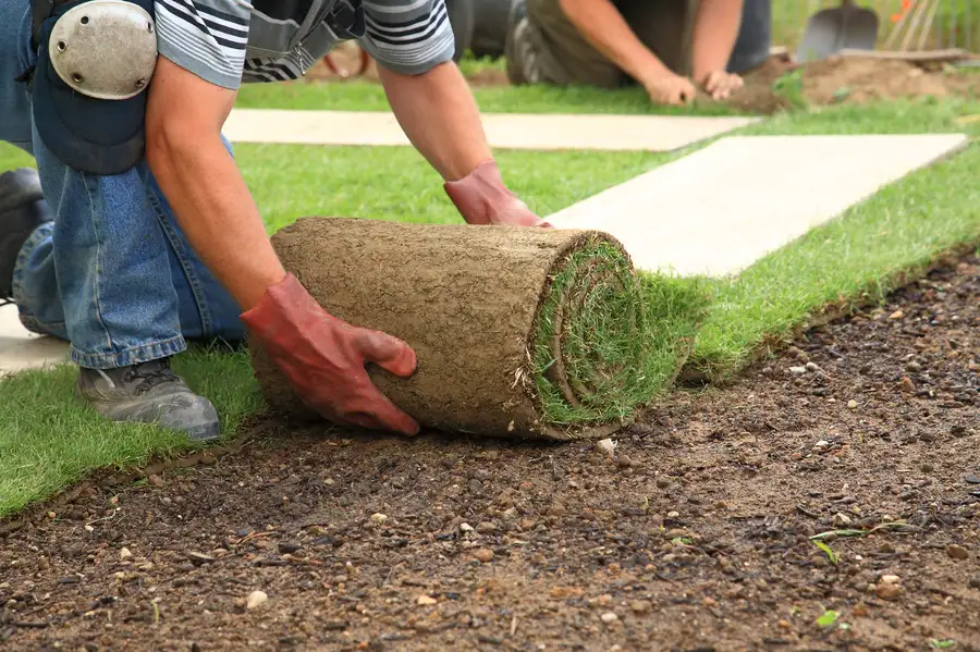 Get Fast Green Results With Professional Sod Installation Acworth, GA Get Fast Green Results With Professional Sod Installation Acworth, GA