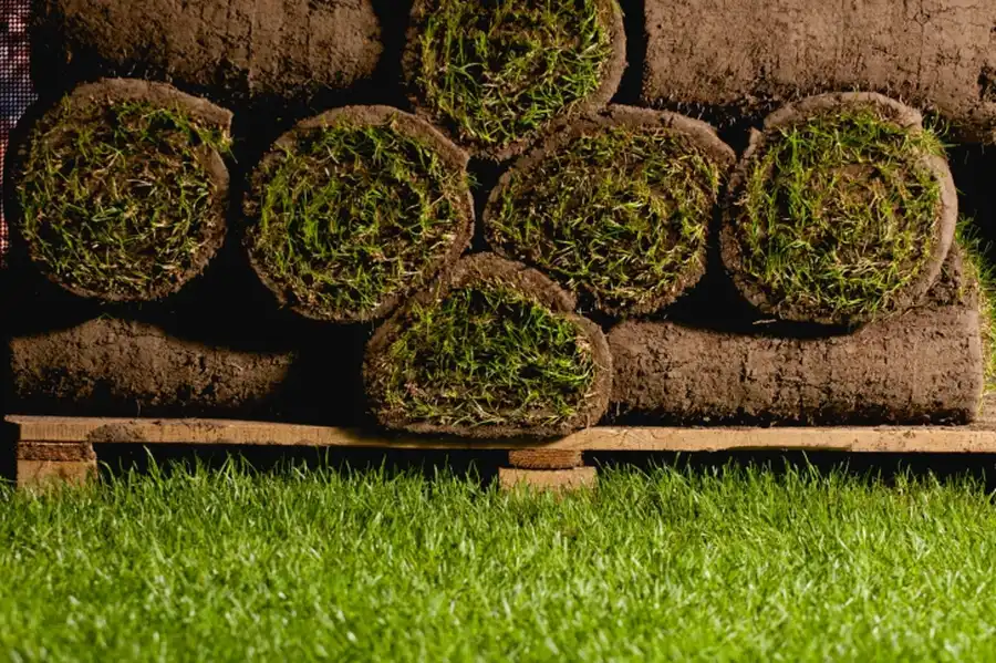 How Sod Installation Improves Long Term Yard Health in Acworth, GA How Sod Installation Improves Long Term Yard Health in Acworth, GA