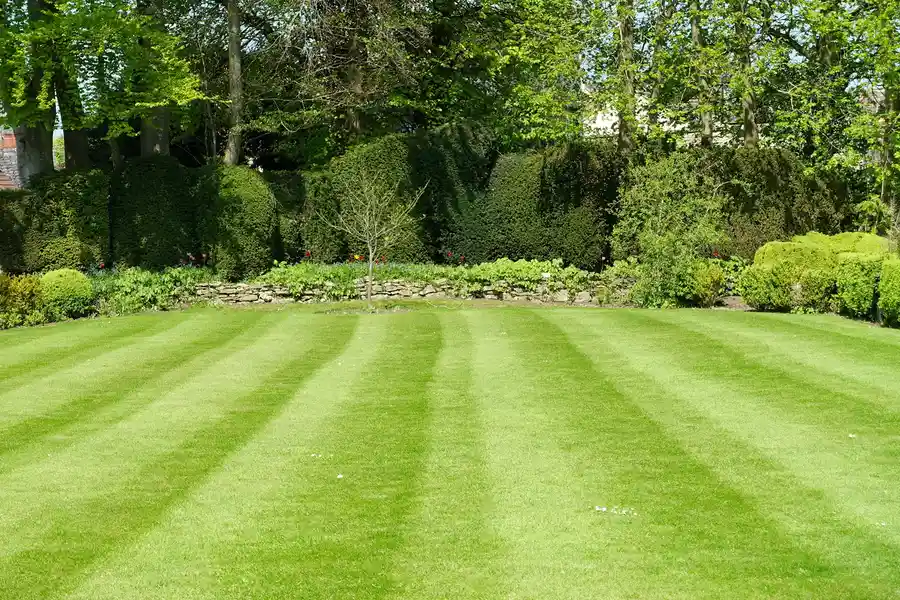 Improve Property Appearance Through Expert Lawn Care Acworth, GA Improve Property Appearance Through Expert Lawn Care Acworth, GA