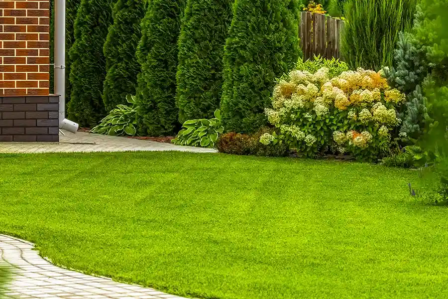Improve Property Appearance Through Expert Lawn Care in Acworth, GA Improve Property Appearance Through Expert Lawn Care in Acworth, GA