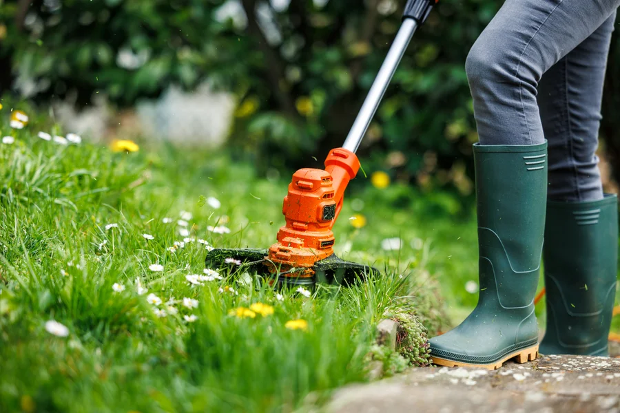 Keep Your Yard Thriving With Consistent Lawn Care in Acworth, GA Keep Your Yard Thriving With Consistent Lawn Care in Acworth, GA