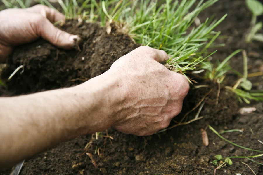 Local Sod Installation Acworth, GA Local Sod Installation Acworth, GA