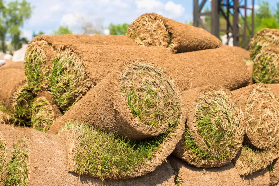 Premium Sod Installation Acworth, GA Premium Sod Installation Acworth, GA
