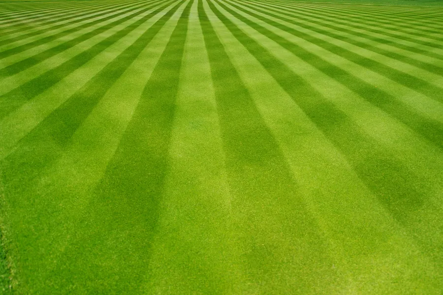 Professional Lawn Care Acworth, GA Professional Lawn Care Acworth, GA