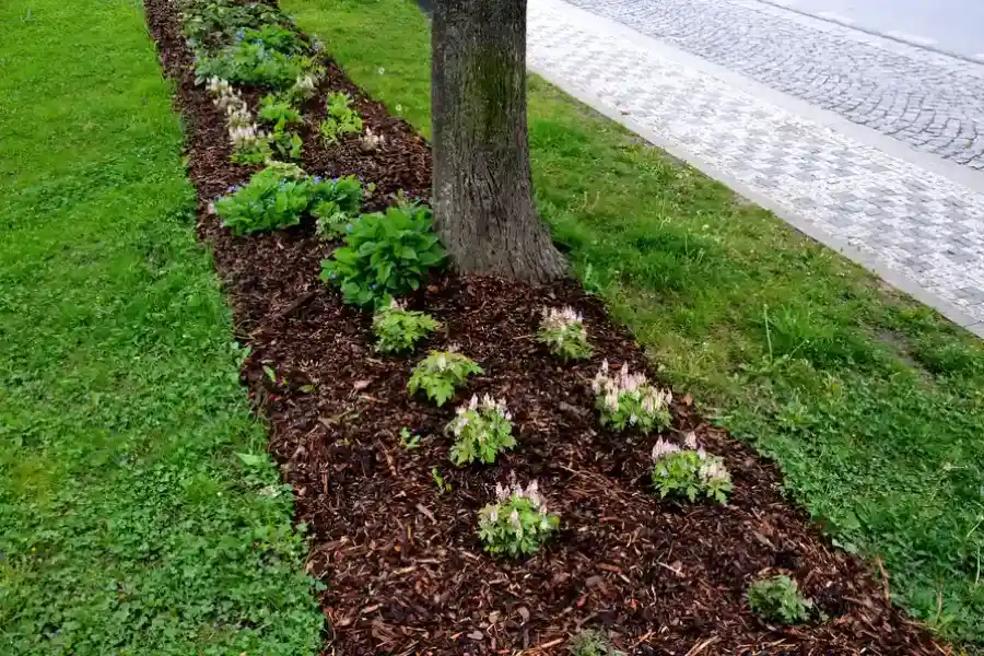 Quality Mulching Acworth, GA Quality Mulching Acworth, GA