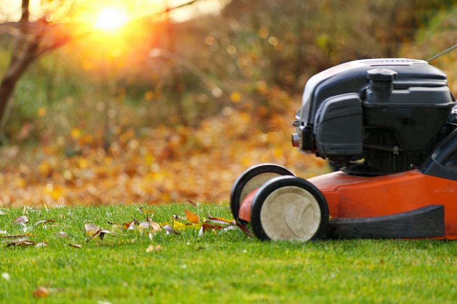 Superior Lawn Care Acworth, GA Superior Lawn Care Acworth, GA