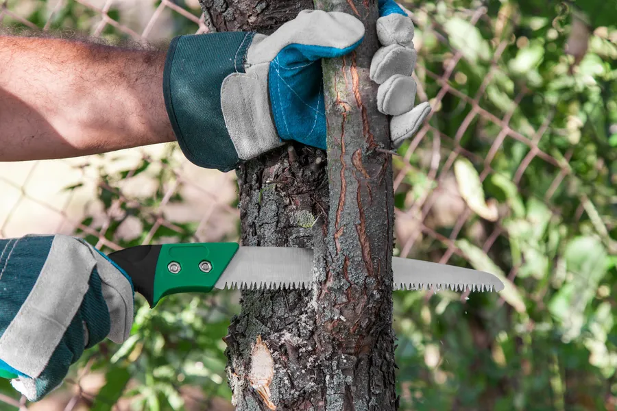 Top-rated Tree Trimming Acworth, GA Top-rated Tree Trimming Acworth, GA
