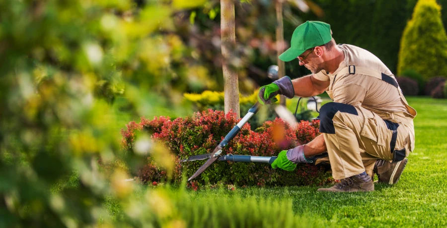 Landscaping contractor serving Acworth, GA Landscaping contractor serving Acworth, GA
